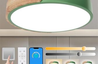 Yexati Plafoniera LED Dimmerabile 3000K-6000K,32w Plafoniera Led Soffitto Moderna in Legno,Plafoniere Telecomando&Smart App,Adatto a Soggiorno,Camera da letto, Cucina,Verde